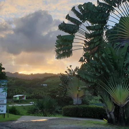 La Case A Malou Apartment Marigot Luaran gambar